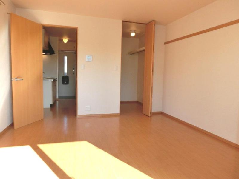 Other. Walk-in closet of the storage capacity!