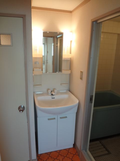 Washroom. Stylish independent wash basin