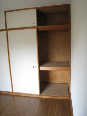 Other. Shimae a lot of luggage in the closet storage