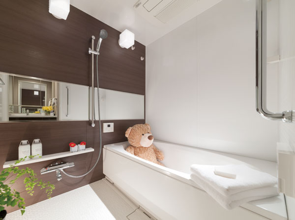 Interior. B-B2type bathroom