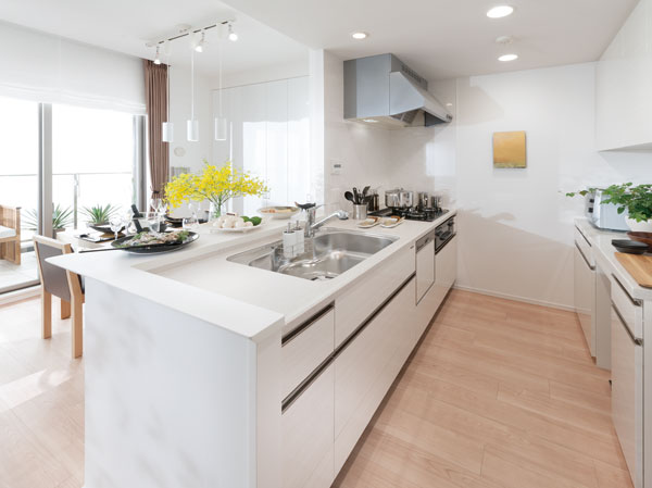 Interior. B-A2'type kitchen