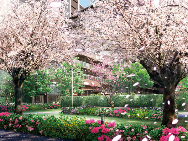 Features of the building.  [Uruwashiki garden in full bloom flower bloom] Develop a "Sakura Garden (Square-shaped open space)" is on the square-shaped public open space in the north-west side, which is the communication space of the region. Along with the coming of spring, Stained in cherry color, It spreads vivid landscape. Also, It is in the open space has created a cherry road (square-shaped open space) to sew the trees. Stroll while I pleasure a landscape, Guests can enjoy a conversation on the bench. While feeling the natural, You can spend moments of moisture. (Rendering)
