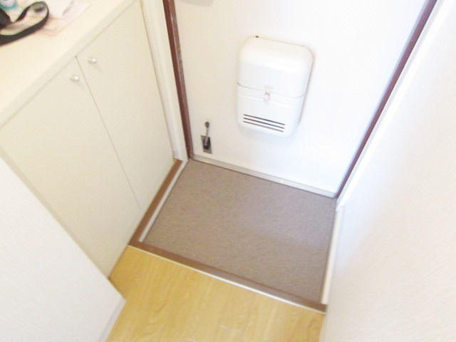 Entrance. Shoes BOX Installed