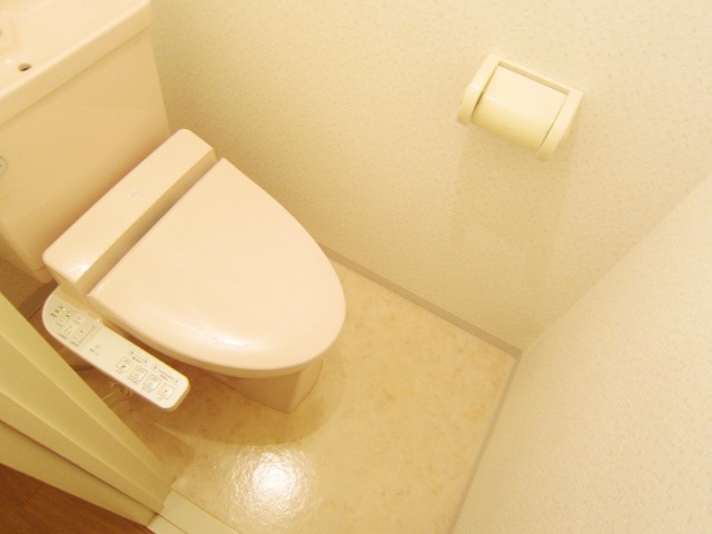 Toilet. Washlet Installed