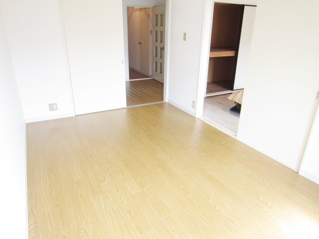 Living and room. Popularity of Japanese and Western room type