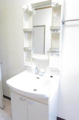 Washroom. You can firmly also prepared a busy morning with a shampoo dresser