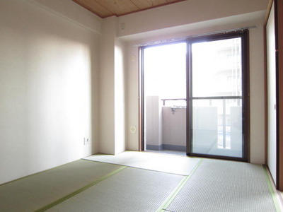 Living and room. Japanese-style room is also bright