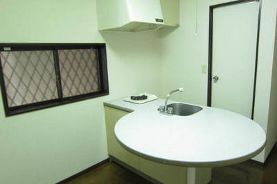 Kitchen. Rare face-to-face kitchen is for single people