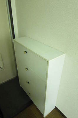 Entrance. With happy cupboard