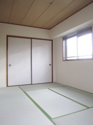 Living and room. Two-sided lighting Japanese-style room