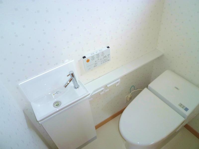 Toilet. Low silhouette design toilet. 