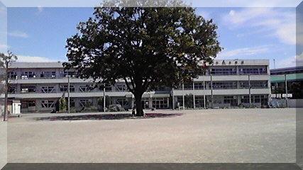 Primary school. Beauty Tanimoto elementary school Walk 11 minutes