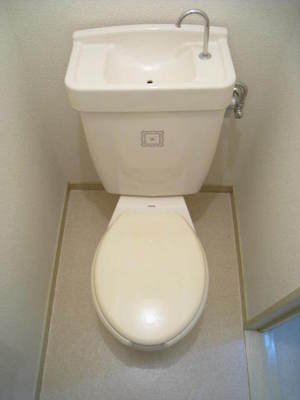 Toilet. It settles in a small toilet