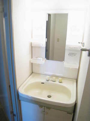 Washroom. Let trimmed get dressed in the bathroom vanity