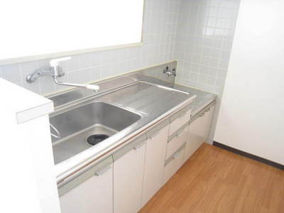 Kitchen. Easy-to-use gas stove is installed type single lever