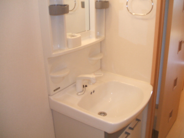 Washroom. Shampoo dresser in the washroom. 