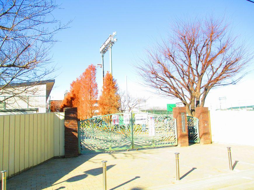 Junior high school. Nizo 2000m until junior high school