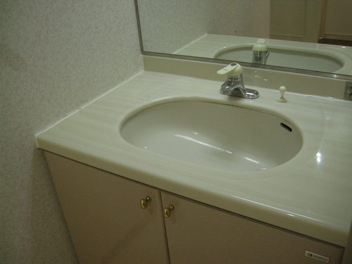 Washroom. Wash basin