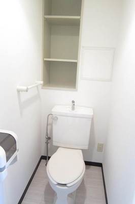 Toilet. It looks convenient there is a storage space