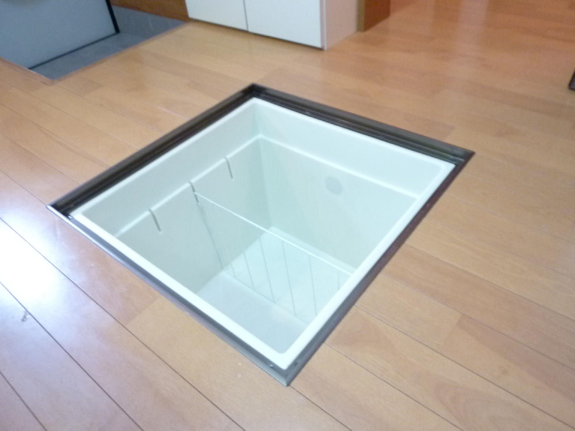 Other. Underfloor Storage