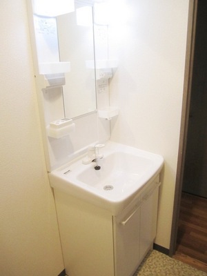 Washroom. Independent wash basin