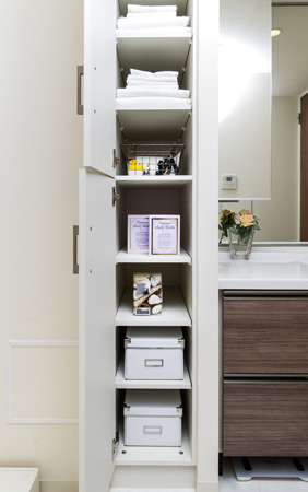 Bathing-wash room. Wash room linen cabinet