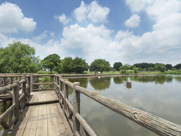 Surrounding environment. Saimizuumi ・ Doman Green Park (about 3.5km / About 14 minutes by bicycle)