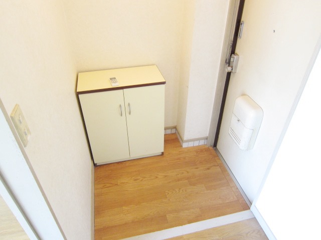 Entrance. Spacious entrance space