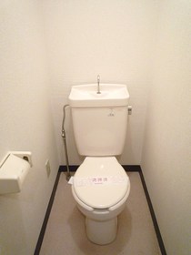 Toilet. Toilet