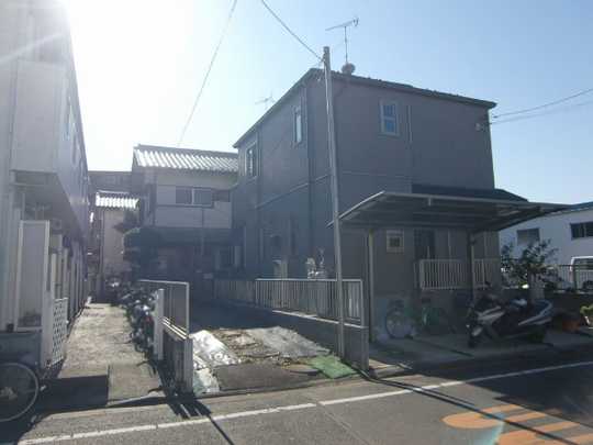 Local land photo. Appearance (1)