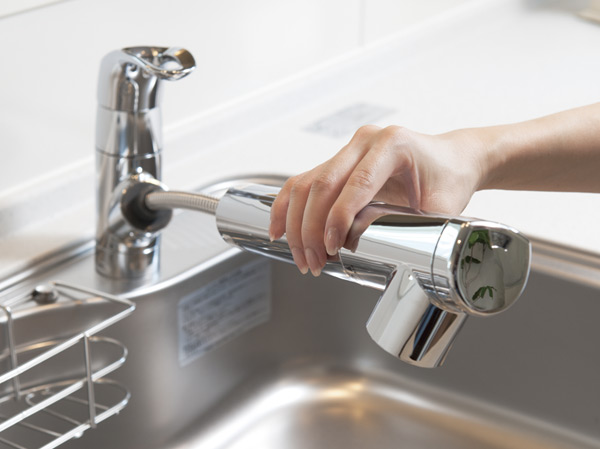 Kitchen. Convenient water purifier integrated shower faucet for daily cleaning