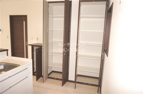 Same specifications photos (Other introspection). Example of construction pantry