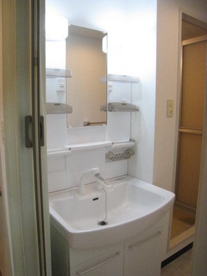 Washroom. Shampoo dresser