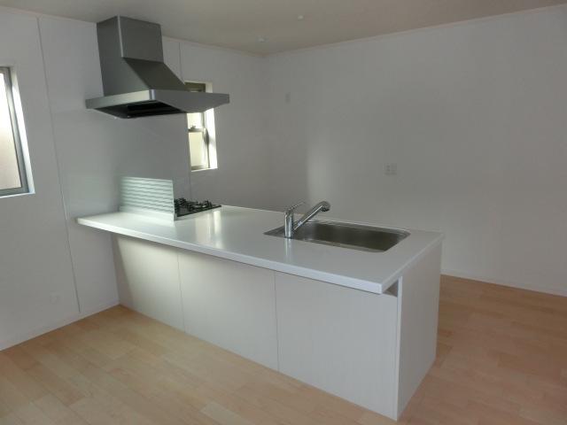 Kitchen. Indoor (12 May 2013) Shooting