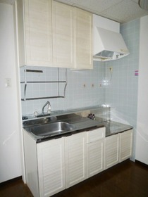 Kitchen. Two-burner gas stove can be installed