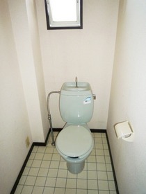 Toilet. Toilet