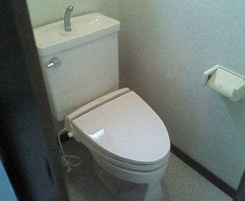 Other. Toilet