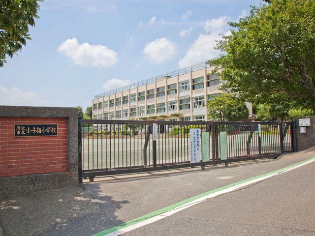 Primary school. Kotesashi It is also safe school of 240m elementary school near the children to elementary school. 