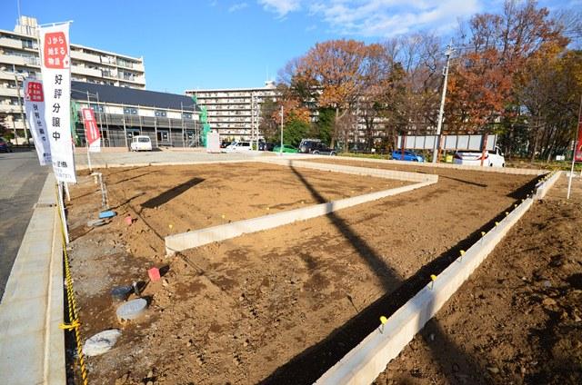 Local land photo. Selling local. (2013 December 12 shooting)