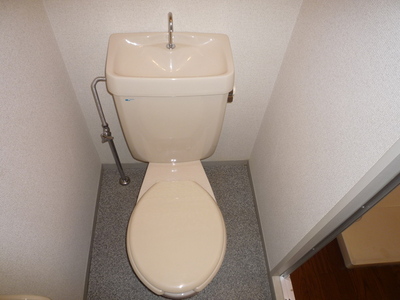 Toilet. Toilet