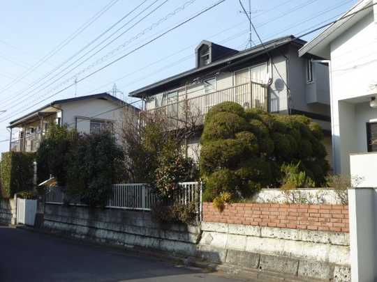 Local land photo. Local Photos