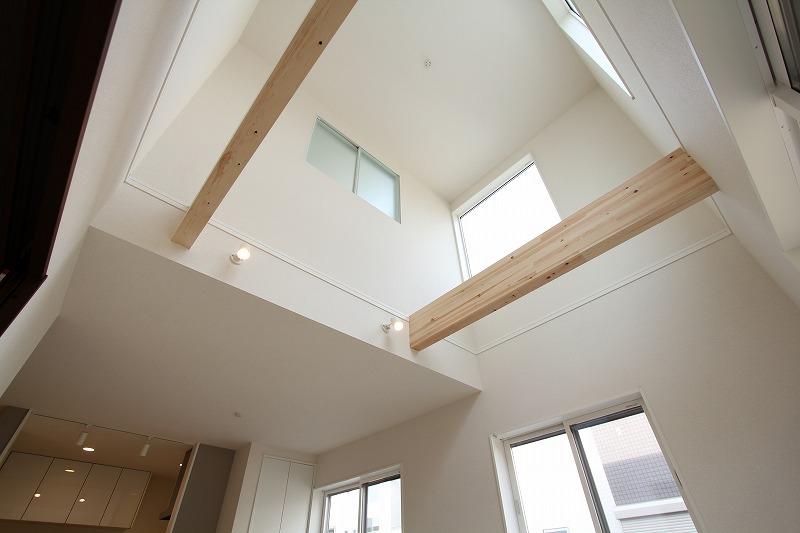 Same specifications photos (Other introspection)