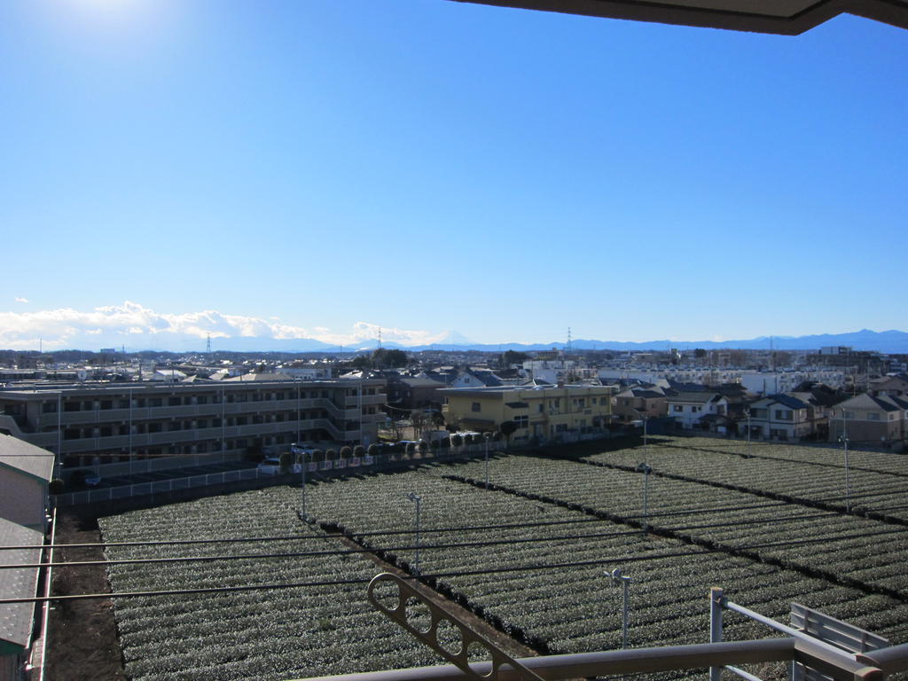 View. Offer even Mount Fuji on a clear day