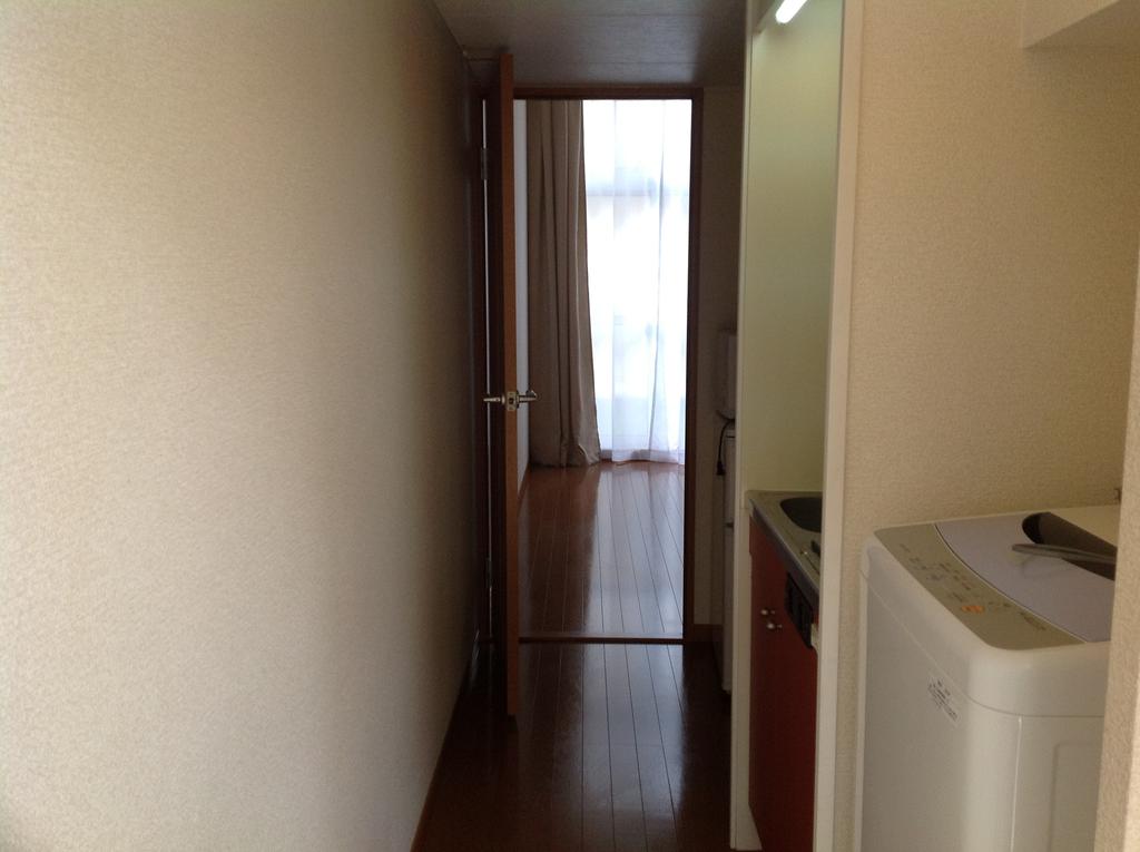 Entrance. Hallway from the entrance to the room