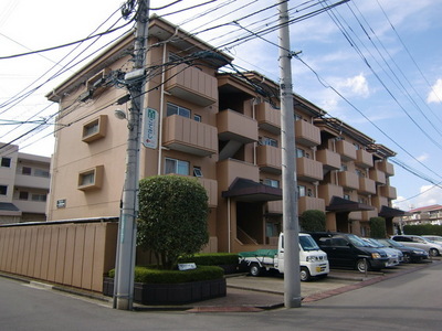 Building appearance
