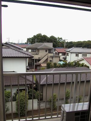 View. The view from the veranda. 