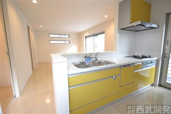 Kitchen. Face-to-face kitchen with dishwasher