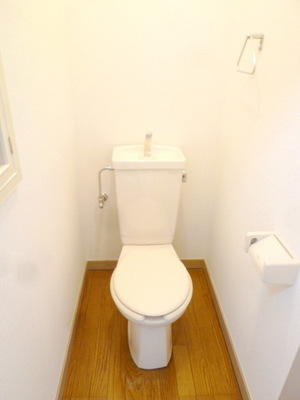 Toilet. Toilet