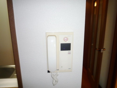 Security. TV Monitahon
