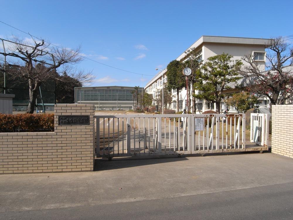 Junior high school. Kotesashi 400m until junior high school